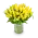 Kytice tulipánů